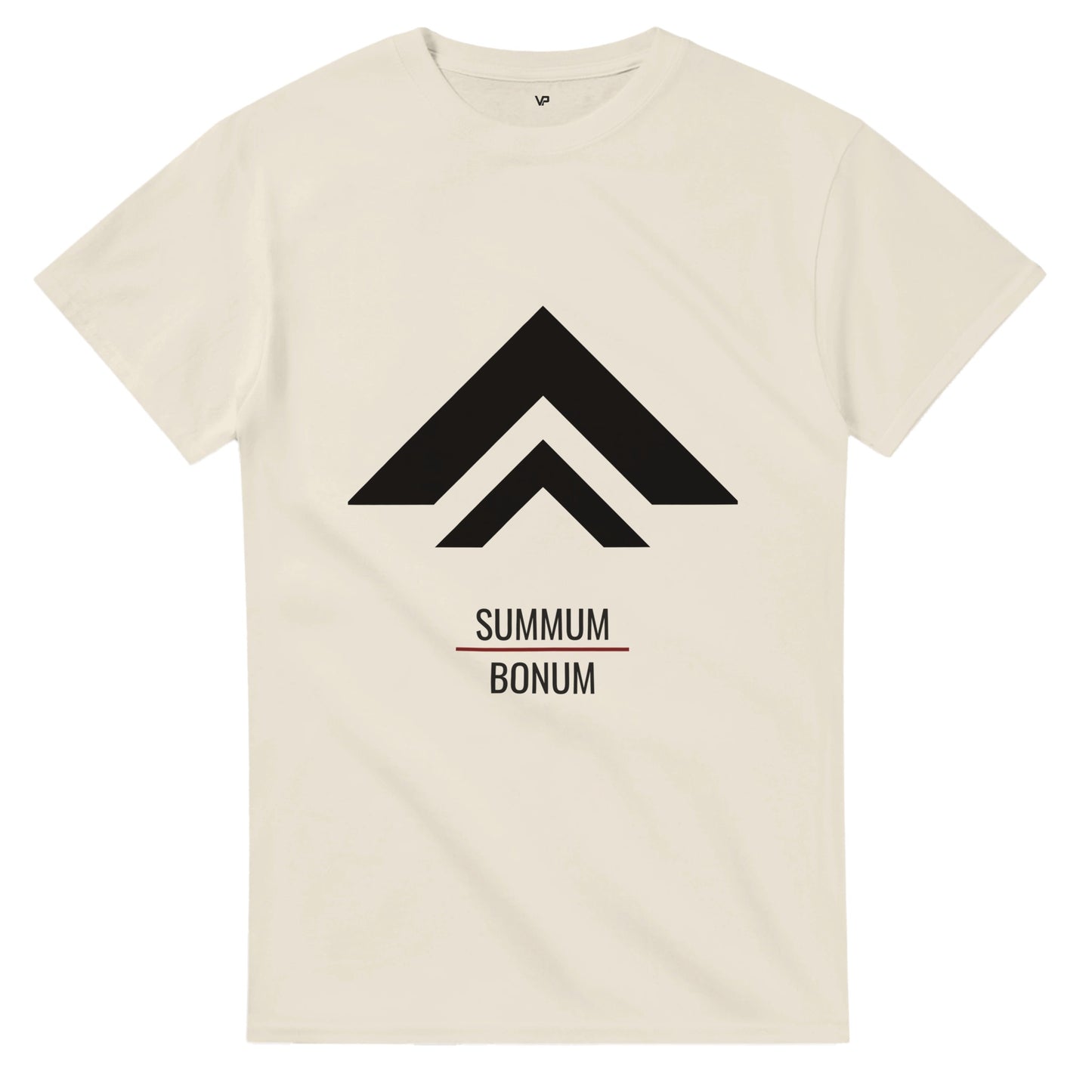 Natural farbendes VIRTUS T-Shirt von VidaroPrints mit schwarzen "Der Aufstieg"-Design (minimalistischer Berg-Pfeil) und dem Schriftzug SUMMUM BONUM.